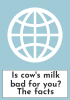 Is cow's milk bad for you? The facts